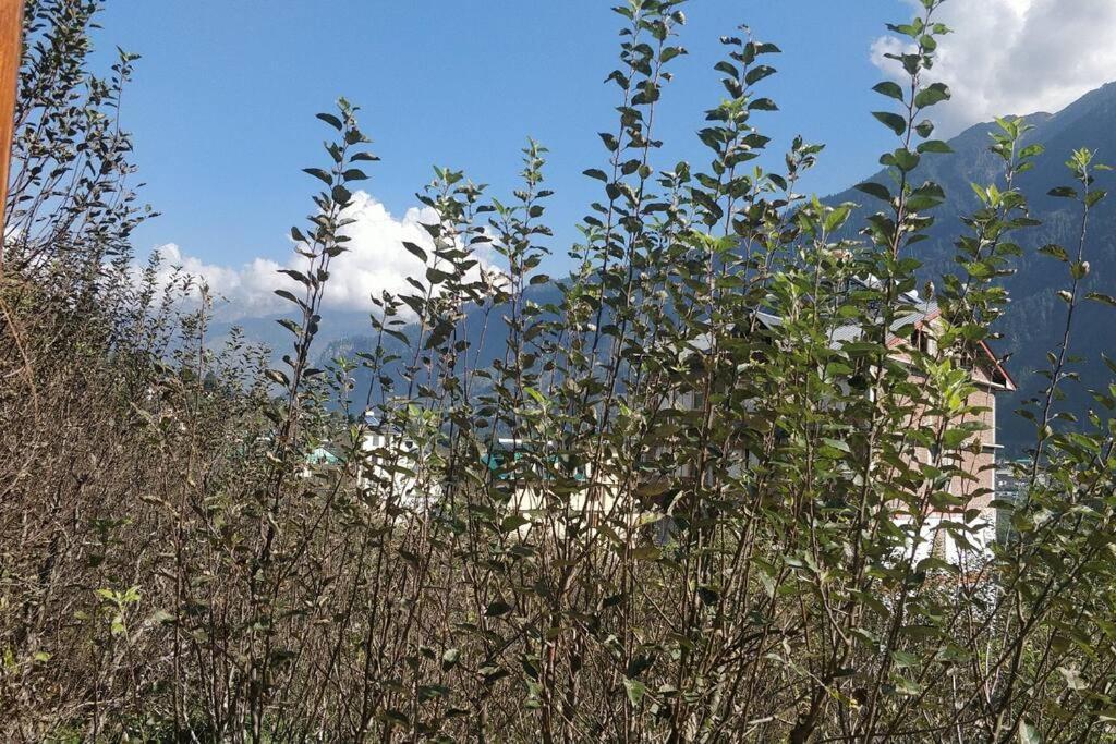 Aroma Taru Villa / Cottage ,Manali Exterior foto